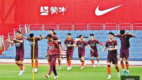 2026年中公教育半年报深度解读买球实时赛况：行业压力与增长策略